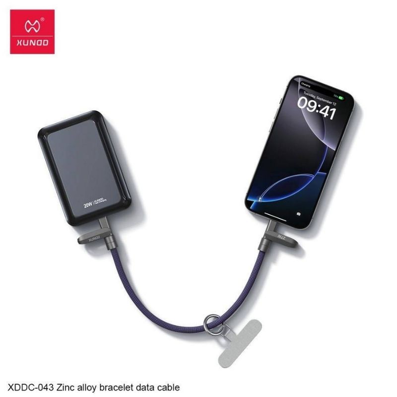 Câble USB-C 100W 0,3 m XDDC-043 XUNDD